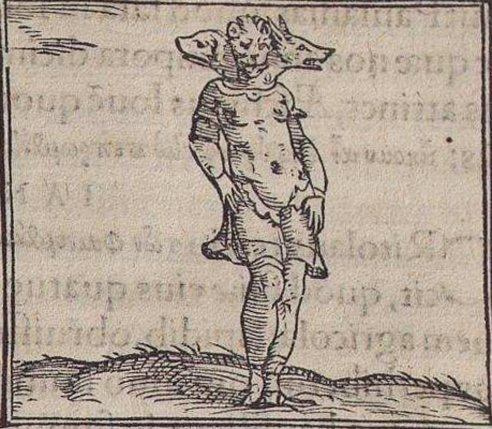 Piero Valeriano: Emblema del sol (1551) detalle extraído de Hyeroglyphica, Basilea, libro XXXII, fol. 229 r.