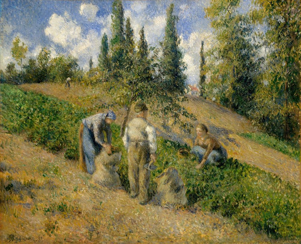 Camille Pissarro: La cosecha, Pontoise (1881) óleo sobre lienzo, Metropolitan Museum of Art, Nueva York.
