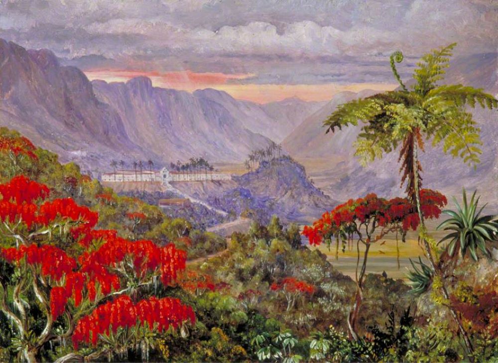 Marianne North: Vista del Colegio Jesuita de Caracas, Minas Geraes, Brasil (1873) óleo sobre papel, Galería Marianne North de Kew Gardens.