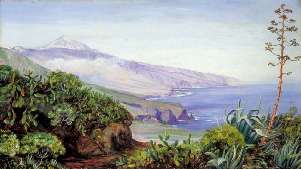 Marianne North: Vista de la Cima de Tenerife (1875) óleo sobre papel, Galería Marianne North de Kew Gardens.